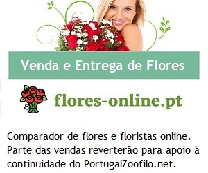 Apoio por flores-online.pt