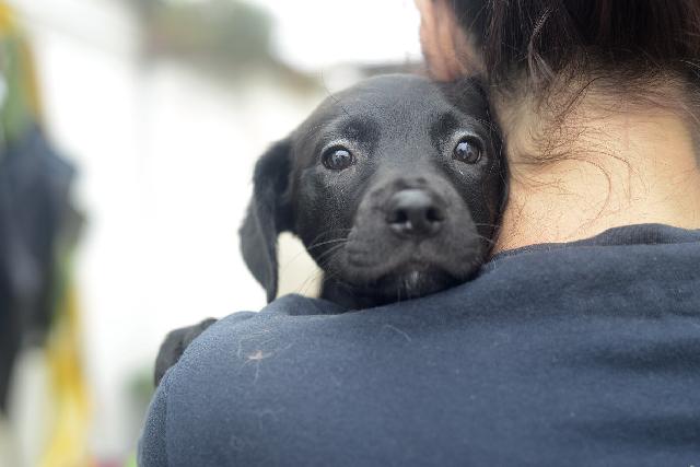 May looking over a shoulder of a woman