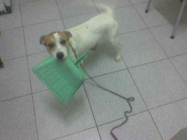 Imagem